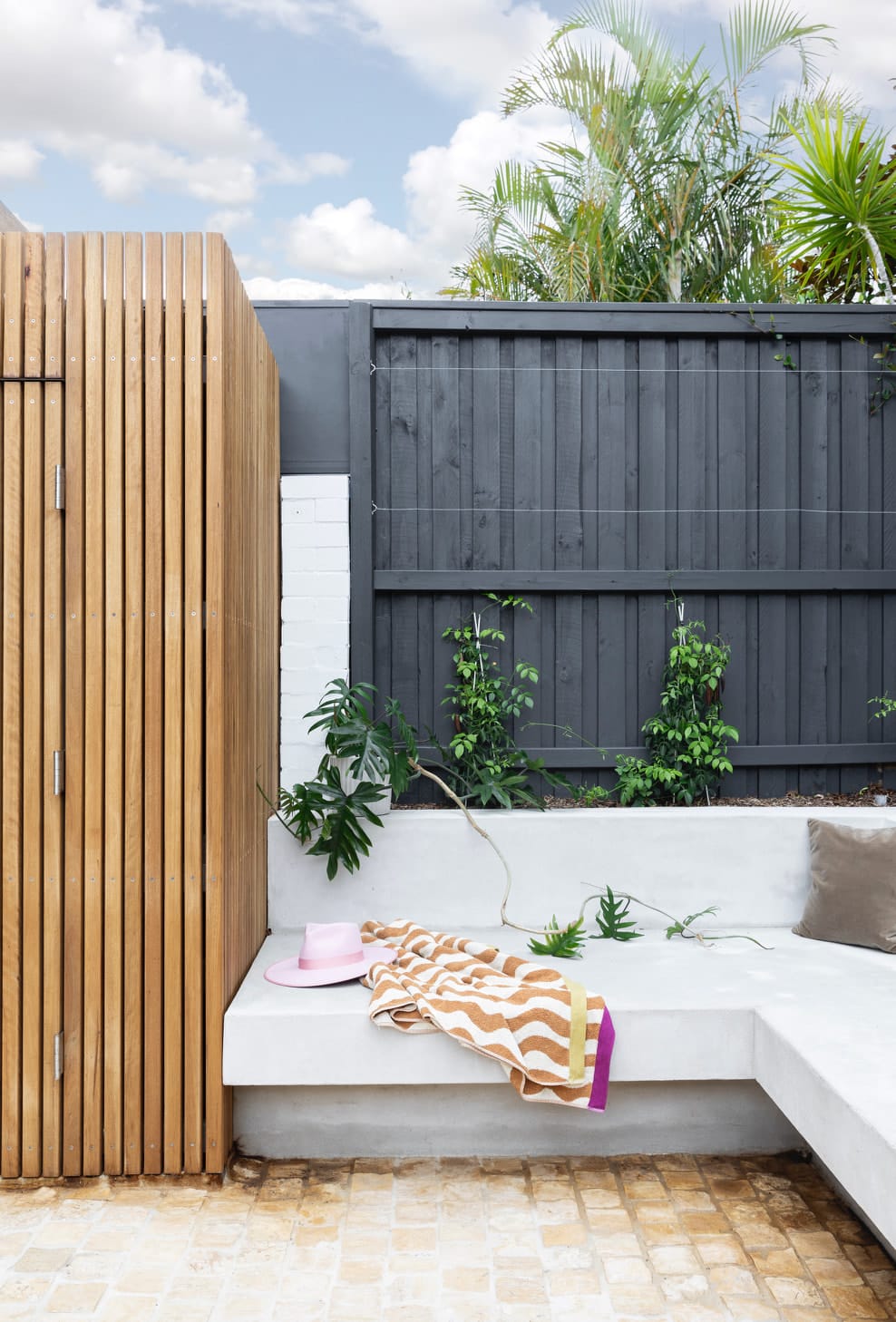 Courtyard corner with a vertical timber-batten screen, a built-in rendered bench and climbing plants on a charcoal fence